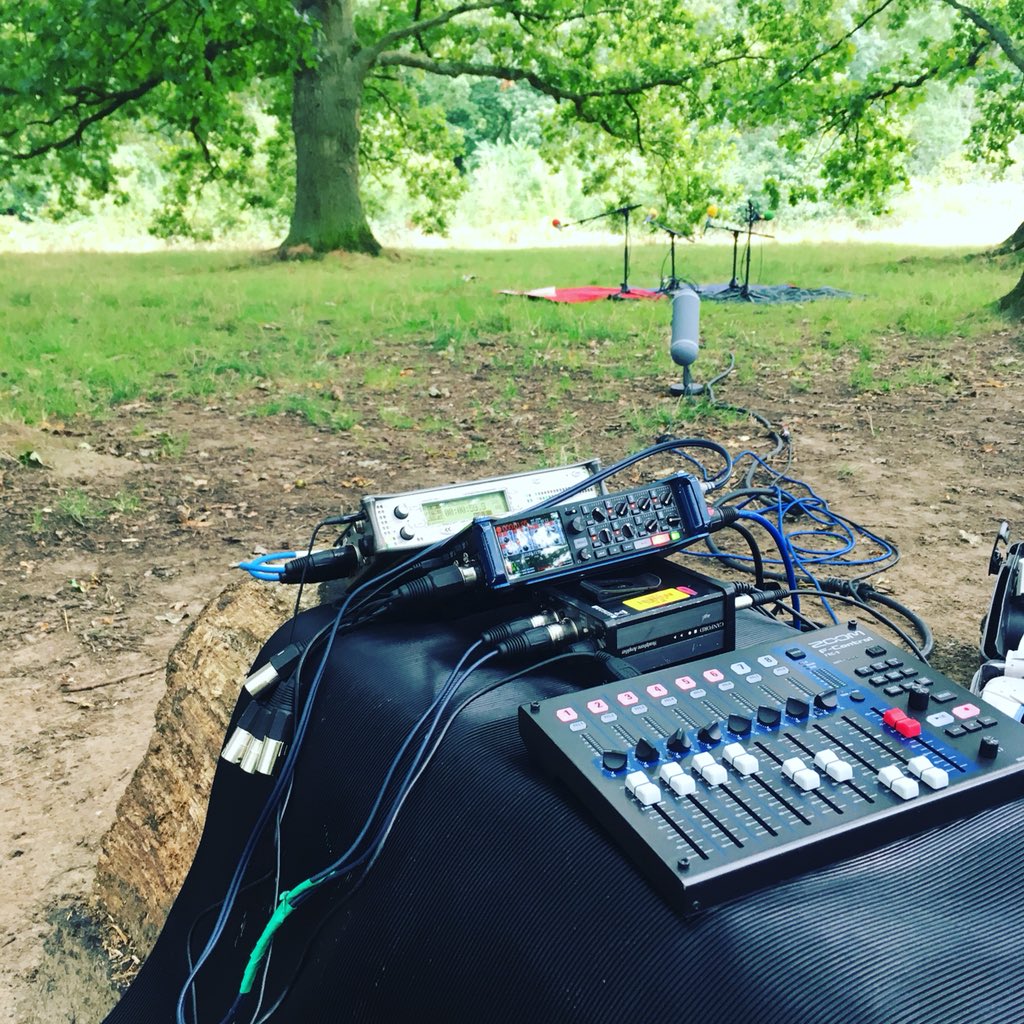 wingstone's tweet photo. Out and about in N London woods today. #rain #batteries @mic_off https://t.co/Qu6fhRC3Vn