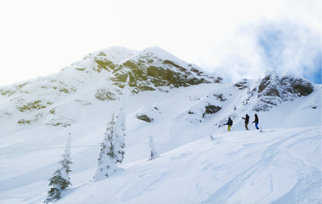 Snow Rehab tweet media