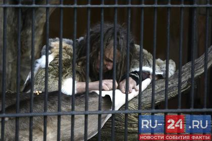 RU-24: Обнаружена новая вымершая форма человека #новости #ru24 #followback #сегодня #news #сми читайте подробнее ru-24.ru/news/2018-08-2…