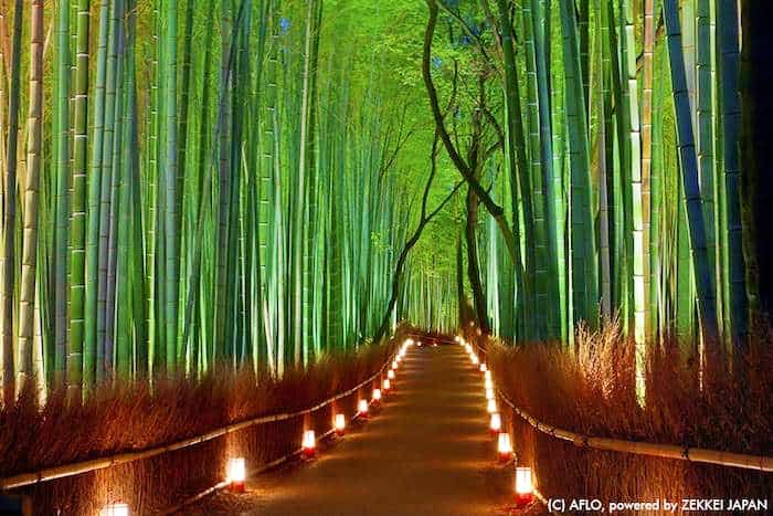 KellyMillner's tweet image. Humans are like God they Do unimaginable things,But can never be a 1 p% of God