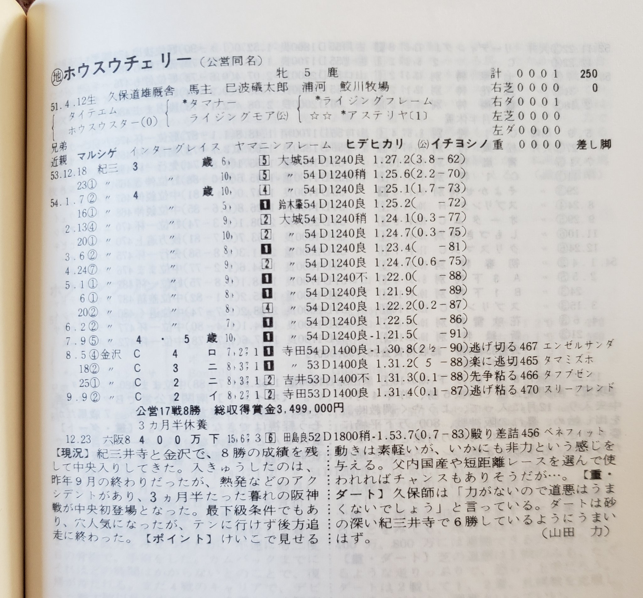 ビッグワン on X: 