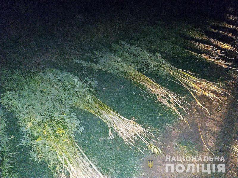 Сергей Алешин (@DT1Spt5rfiHP8Ro) | Twitter