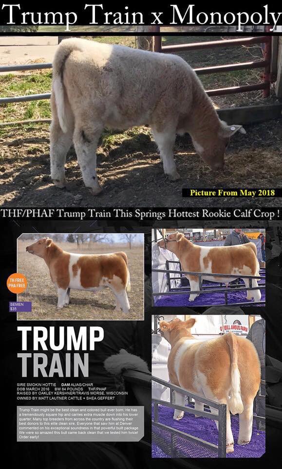 Gage Skelton (skelton_farms) Twitter