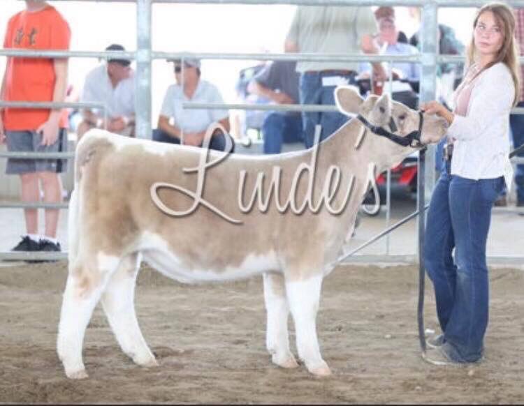 Gage Skelton (skelton_farms) Twitter