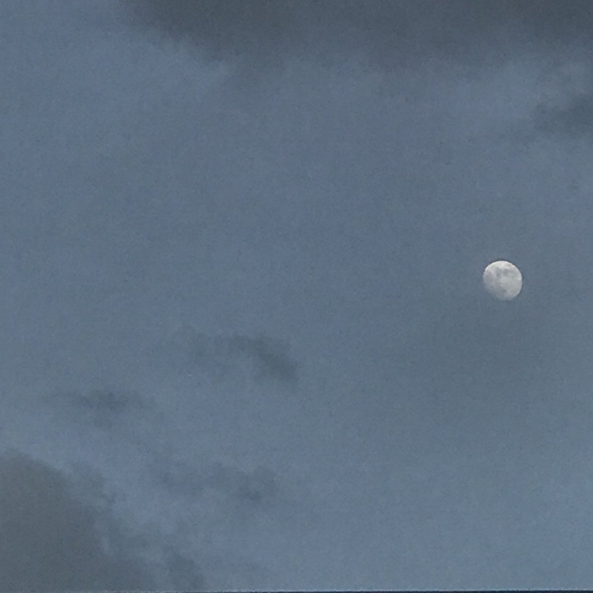 midnight blue tweet media