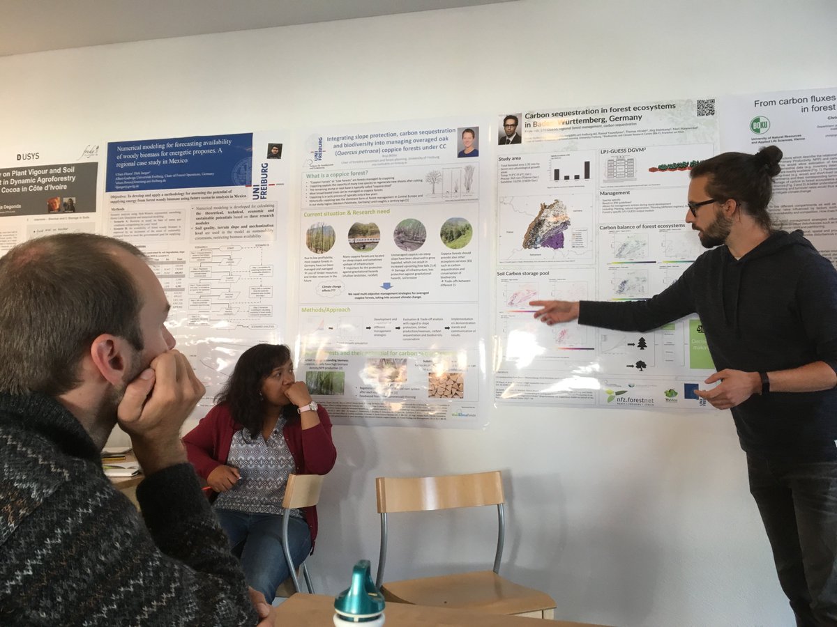 INRAE_Nancy's tweet photo. [#summerschool CARSEQ] 
Participants explaining their work/interest on #CarbonSequestration in #ForestEcosystems during the poster presentation in #Davos 
#NFZforest @SwissForestLab https://t.co/2FLQK4Wpmv