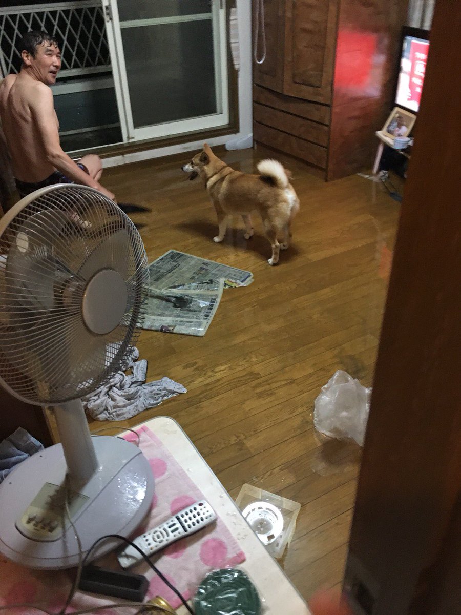 gyuuuka's tweet photo. 家が浸水しました。2階から。
排水管のつまりは確認しましょう。 https://t.co/85FMUJt8K2