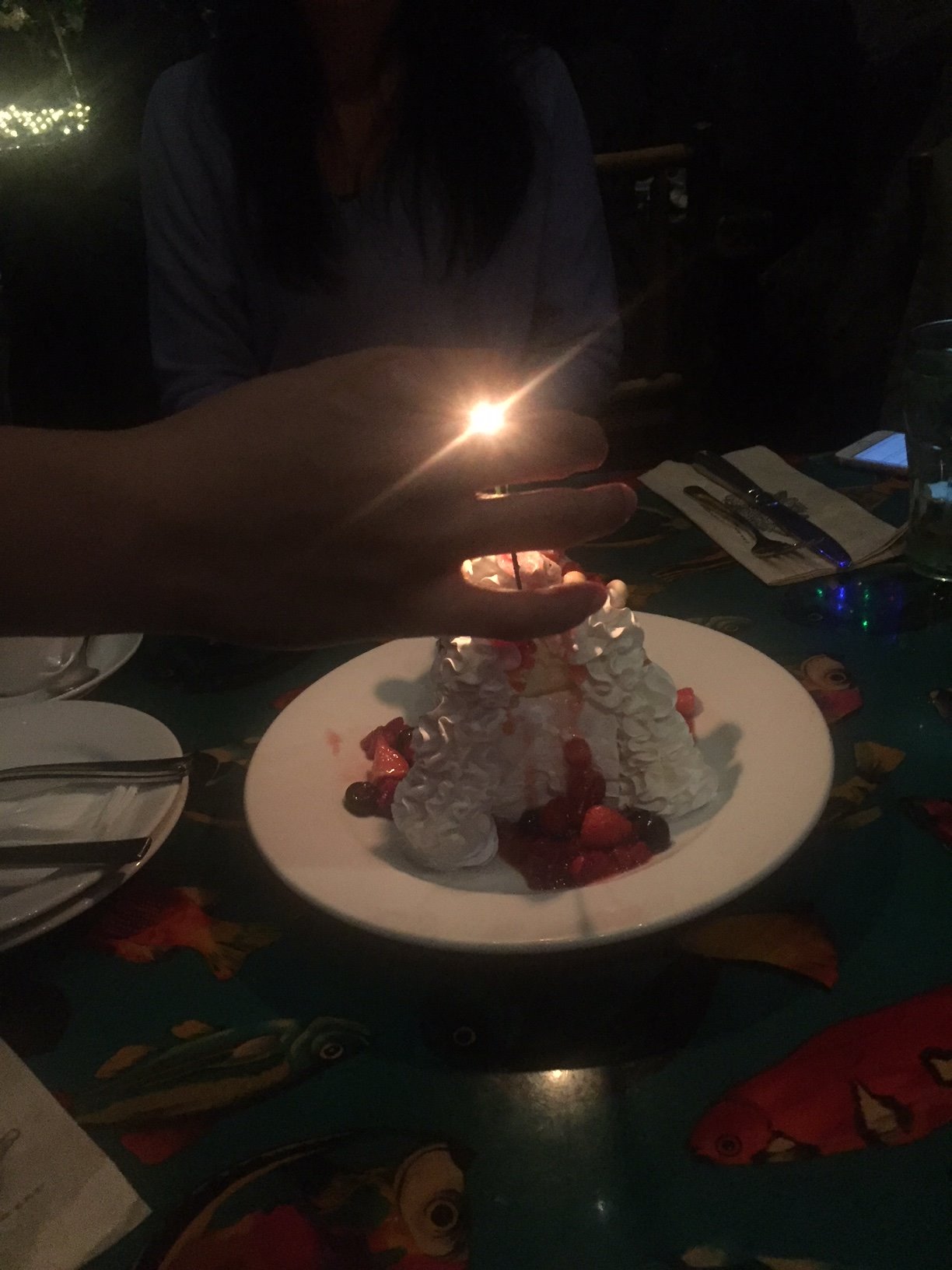 川上美智男 誕生日はイクスピアリ レインフォレストカフェのボルケーノ 火山 ケーキ でお祝い店員のバースデイ ソングもついてくるぞ ろうそくでなく花火がケーキに刺さっている T Co Akgotelwru Twitter