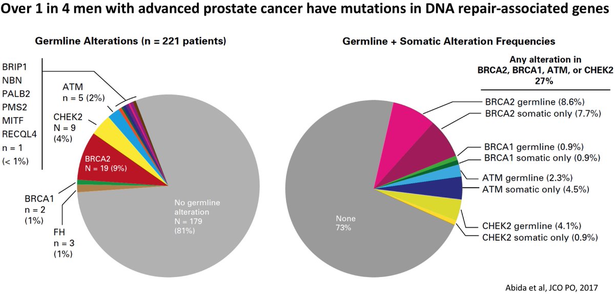 David B. Solit, MD (@dsolit) on Twitter photo BRCA1/2 and other DNA repair mutations remain an under appreciated driver of #prostatecancer development and tumor/germline testings should be considered for all pts with advanced disease as the results can provide info on heritable risk and help guide treatment. <a href="/BasserBRCA/">BasserBRCA</a> BRCA1/2 and other DNA repair mutations remain an under appreciated driver of #prostatecancer development and tumor/germline testings should be considered for all pts with advanced disease as the results can provide info on heritable risk and help guide treatment. <a href="/BasserBRCA/">BasserBRCA</a>