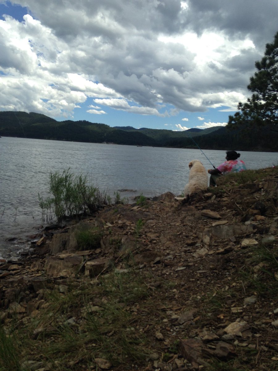 Monét Lawton tweet media