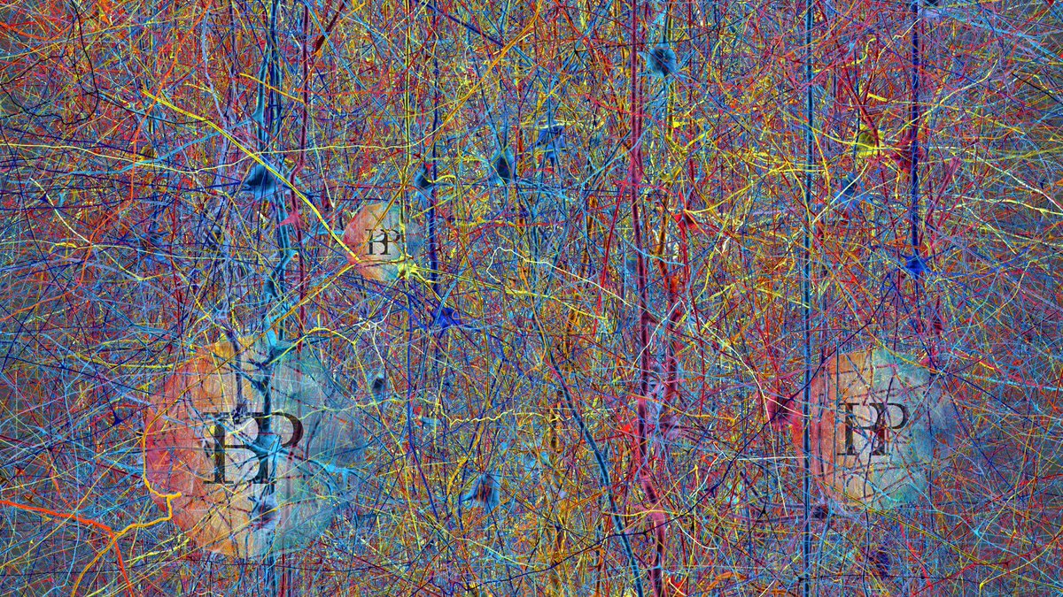 HumanBrainProj's tweet photo. The HBP is opening its Platform infrastructure to meet the needs of the user community in a new dynamic way.
Learn how you can advance your research by applying for a Voucher to receive tailor-made solutions developed by the HBP Platform engineering teams.
https://t.co/uVlNHkV426 https://t.co/wVKFz0oXUr