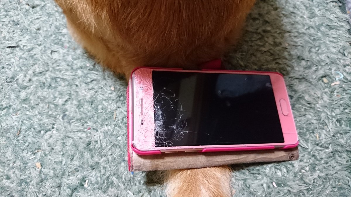 なつのまろ tweet media