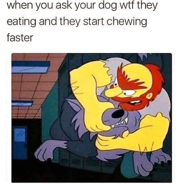 Angela__Barnes's tweet image. #dogparentproblems