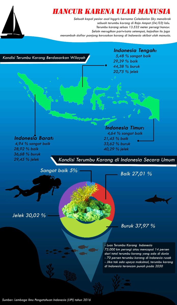 sabdabersabda's tweet image. Bagaimana kita bisa mencintai sate kalau kita lebih sering makan bakso.

Bagaimana kita bisa mencintai laut Indonesia kalau kita gak pernah menyelami indahnya?

#ayodiving #neverdivealone