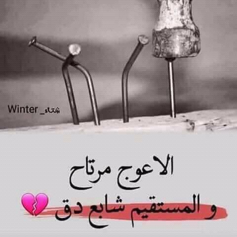 jamal abo abbas tweet media