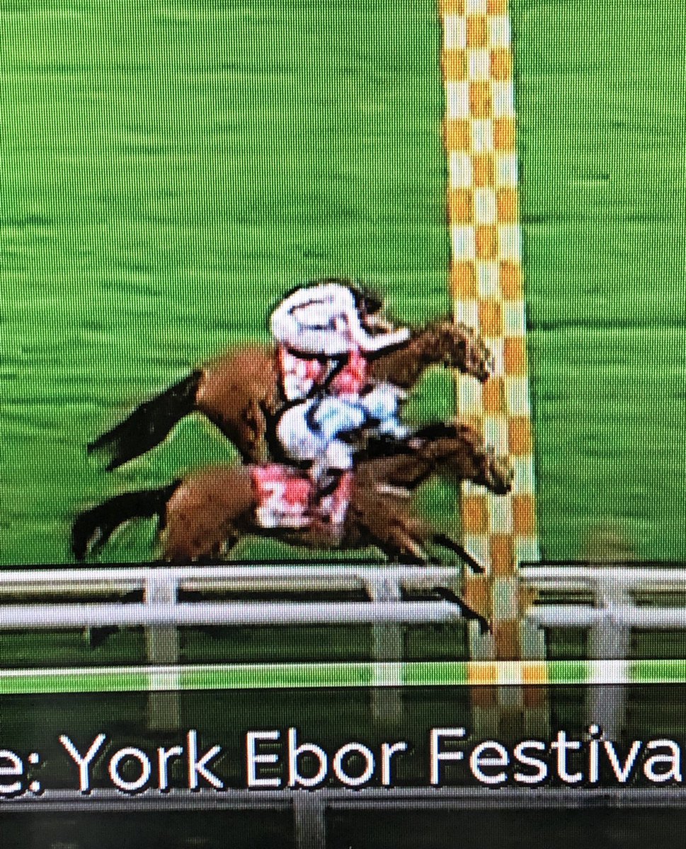 BerwickDaz's tweet photo. £20 on the Mackem Bullet at 25/1 👊
Serves me right for even considering a horse with that name 😩
#Pipped https://t.co/7fS1a8oXMV