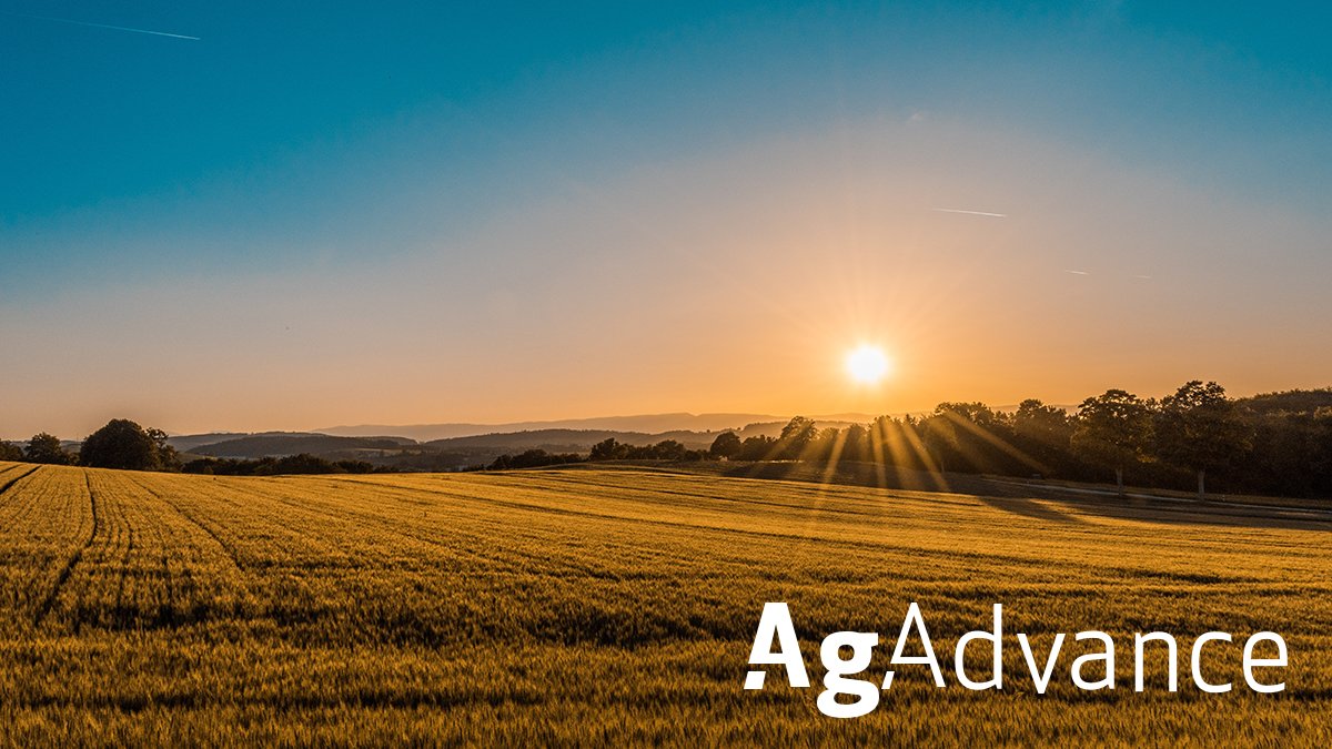 "Typically, we find most growers are mining every nutrient except nitrogen. Consequently, nitrogen use efficiency is not optimized." – latest #AgAdvance article
Read more: hubs.ly/H0dsm-d0