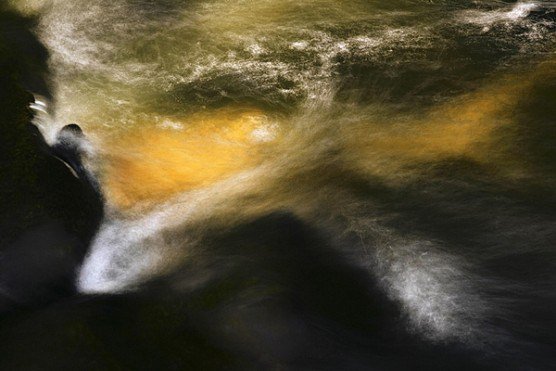 metanexus tweet media