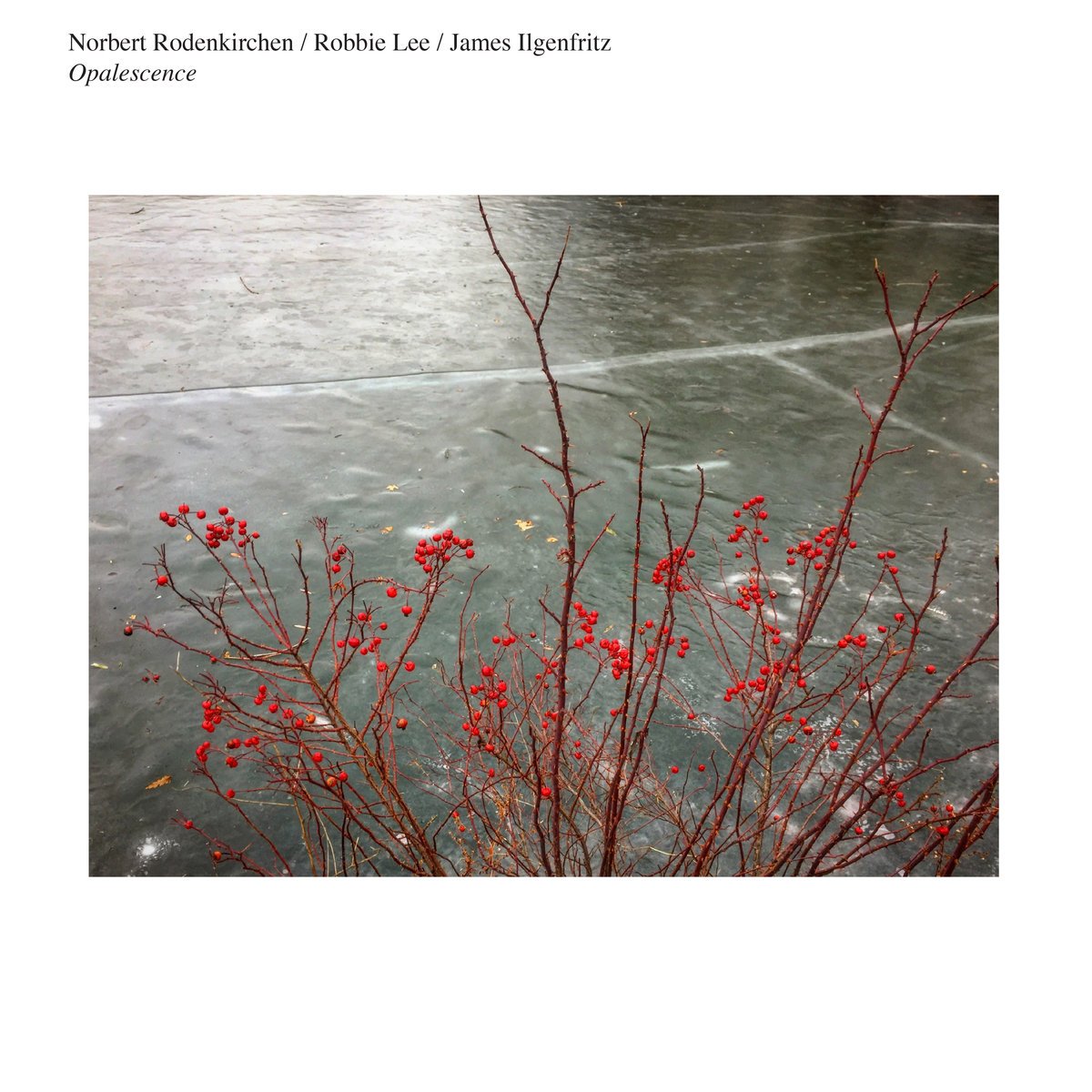 jasonmaher22's tweet photo. Today's music:
Sequentia w/ Benjamin Bagby / Hanna Marti / Norbert Rodenkirchen (#GlossaMusic) - Boethius: Songs of Consolation - Metra from 11th-century Canterbury
Norbert Rodenkirchen / Robbie Lee (@creatureauto) / @jamesilgenfritz / (@telegraphharp) -Opalescene https://t.co/vYDDbaF0kv