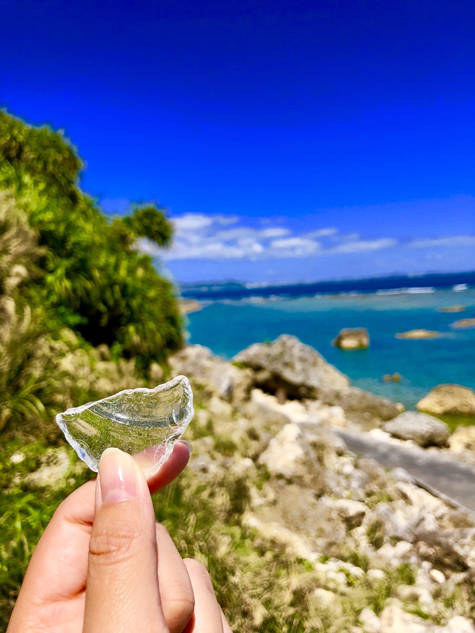 Miwa Ganeko Miwa1198 Twitter