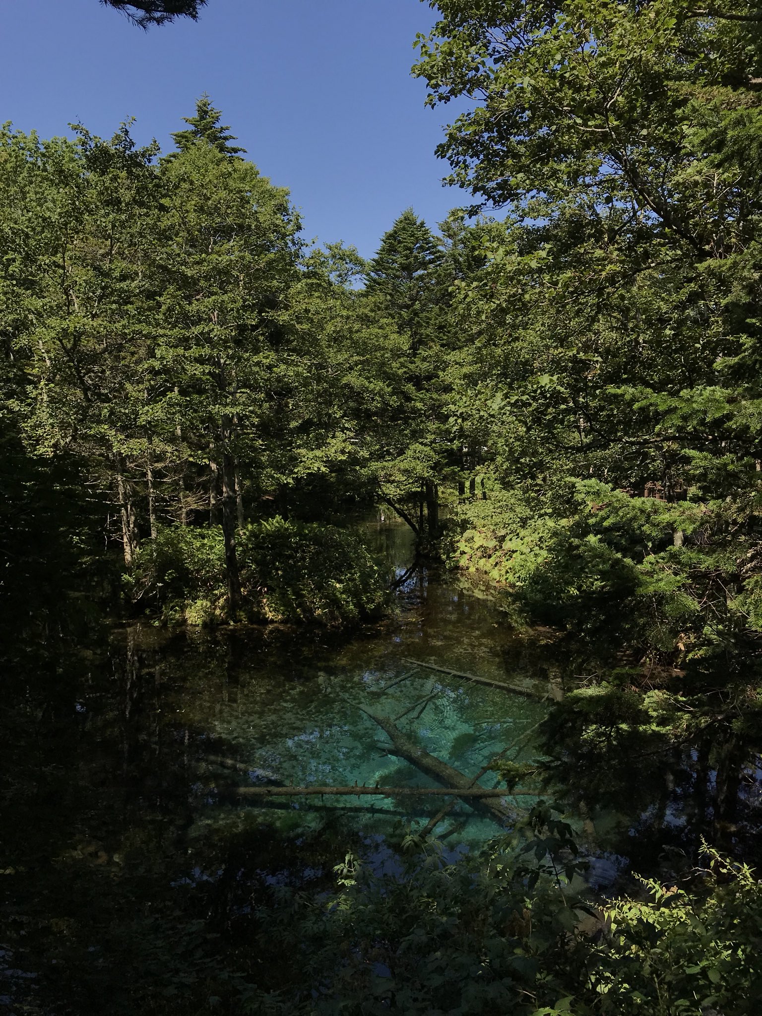 ロクエさん 壁紙にしようと思って神の子池の写真大量に撮ってあるんで貼ります