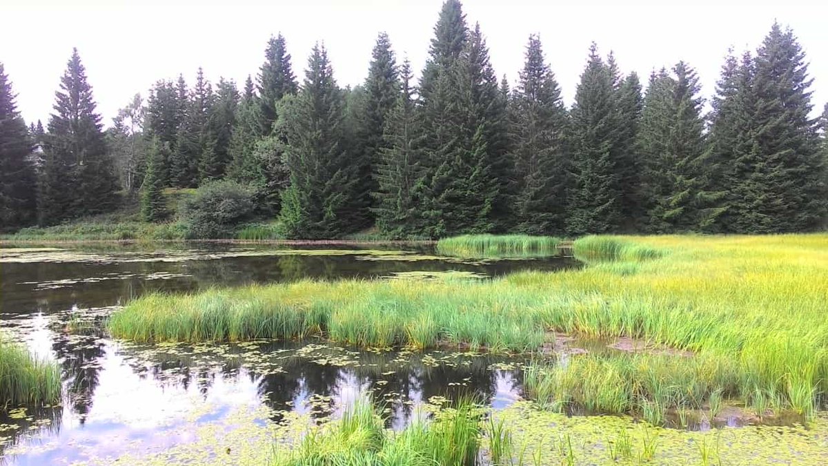 Lago al passo di Lavaze' #ValdiFiemme #Italiavostra