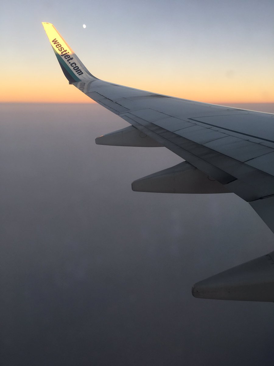 WanderingOff's tweet image. Flying into #yyj on @WestJet Sunday. #BCWildfires