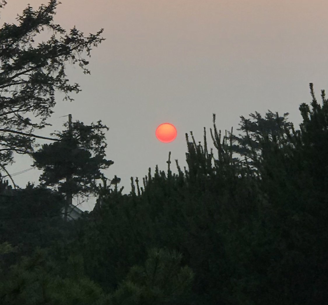 Newport_Library's tweet image. Library sunset

#LibraryViews