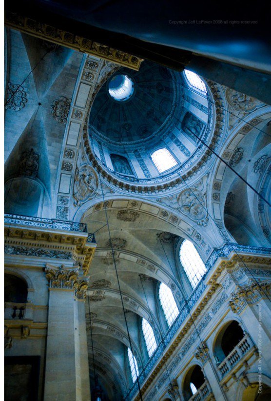 metanexus tweet media