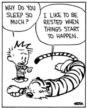 Calvinn_Hobbes tweet picture