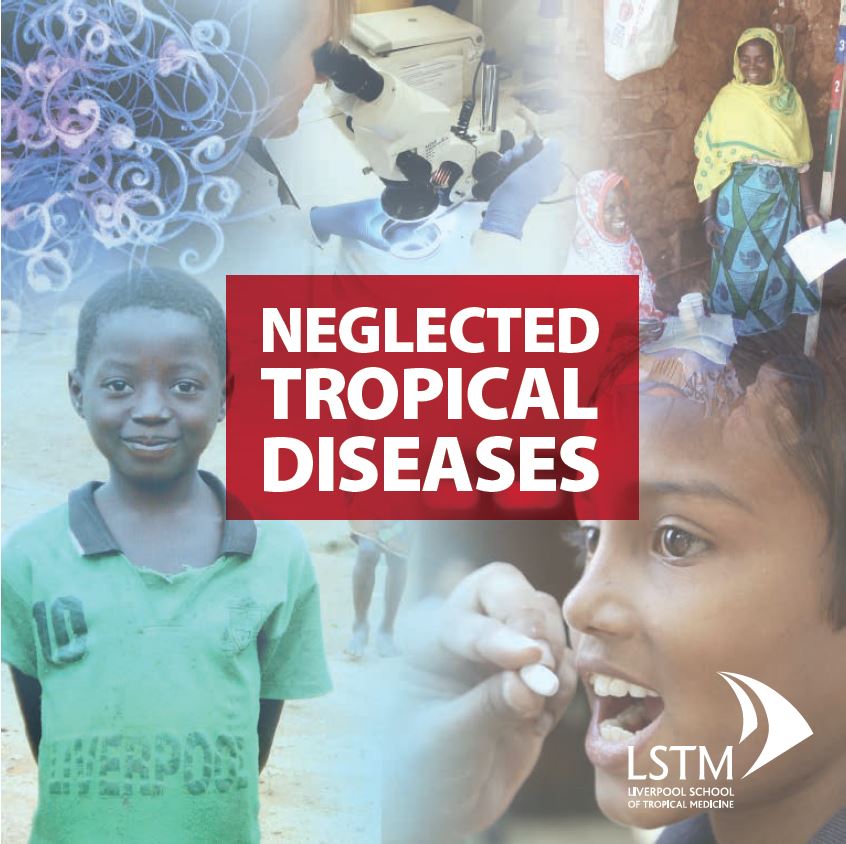 LSTMnews's tweet photo. #LSTM vacancy: Professor of Neglected Tropical Diseases https://t.co/sVBkCyMDok  #NTDs https://t.co/bGFiqRVDyp