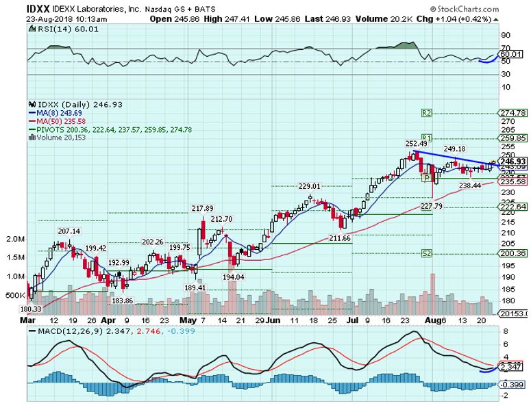 WrigleyTom's tweet photo. $IDXX 246.93
•Basing / Coiled / RSI Curl
•See if can close >TL Trigger https://t.co/yCqiN5qWHw