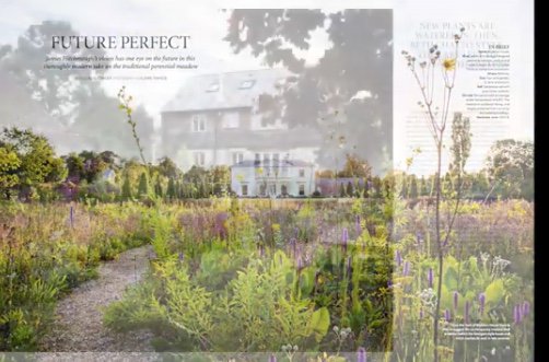 cfdesheff's tweet photo. Designed Ecology in the private realm - @HitchmoughJames Wudston House feature in @GdnsIllustrated Sept 2018 - planting combinations that look after themselves, a feast of unexpected colour and detail, planting rich in species diversity. You can try this at home! @LandscapeSheff https://t.co/7APSkYfd7B