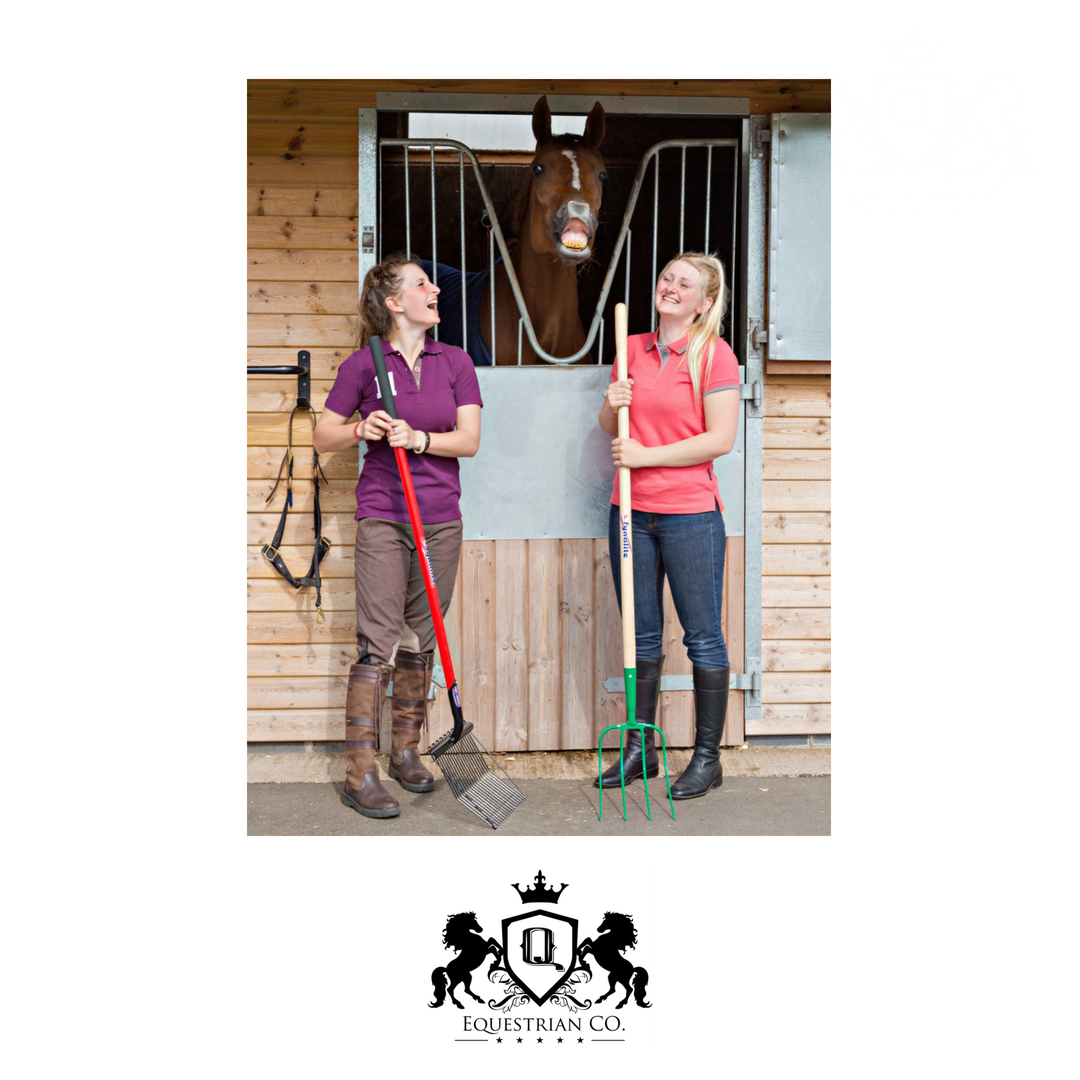 Equestrian Co. tweet media