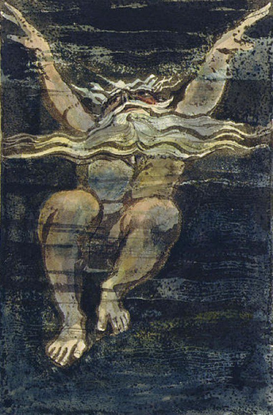 metanexus tweet media