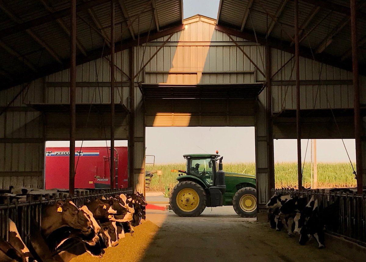 Good morning from Sunridge Dairy! #UndeniablyDairy #DairyWest #Farm365 #AgProud