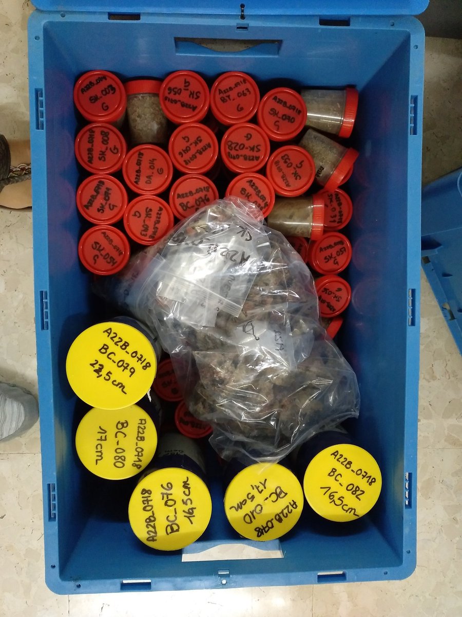 gemar_ieo's tweet photo. Ya tenemos en 🏠 las geo-muestras de la #INTEMARES_BALEARES0718 listas para su análisis.  La eficacia de la draga #shipek y el #patinepibentónico y la de nuestro equipo👩🏻‍🔬👩‍🔬 de #sedimentología unidas para declarar el Canal de Mallorca un #LIC @FBiodiversidad @ieo_baleares https://t.co/QgmHR3WSDD