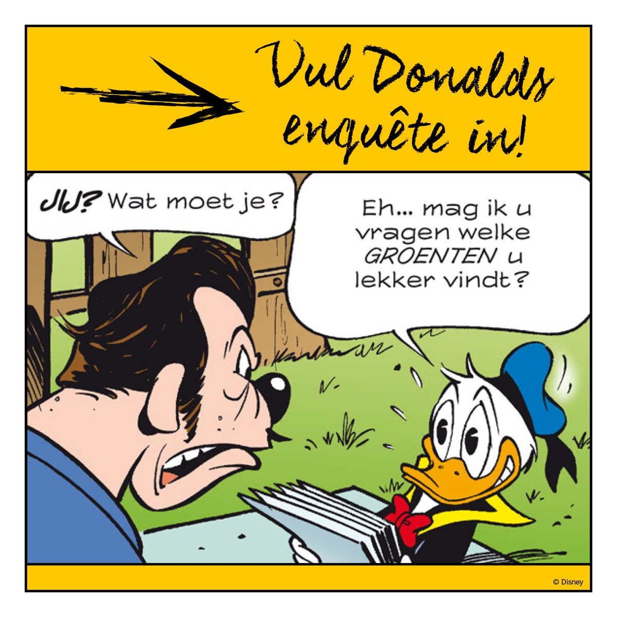 Deze week ga ik langs de Duckstadse deuren met een vragenlijst. Jij mag 'm ook best invullen, hoor! 👉 goo.gl/U3aCgx