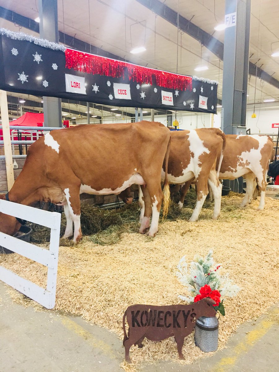 andreakonecky's tweet photo. ❄️ A Frosty Nebraska State Fair ❄️ Beauty View Dairy Farm is ready for some Husker Football! Go Big Red! @HuskerFBNation @coach_frost @NEStateFair https://t.co/n0hH0h77sV