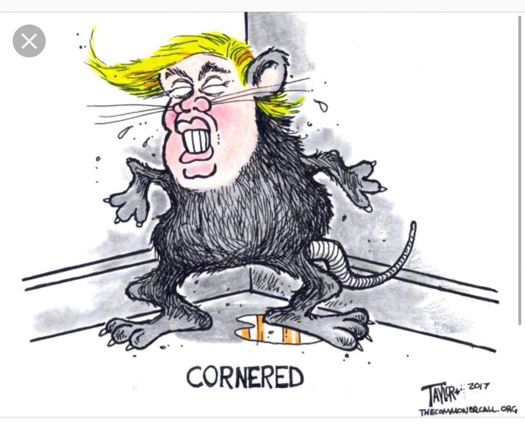 M7AMI's tweet photo. @NanbaraYamato @SirFartknocker @Pksoze @JasonMathewRN @FutureLifeboat @califern9 @frzz @thewierdfishes @davidmackau @POTUS SAD! #Unhinged45 https://t.co/K8r0AnihVo