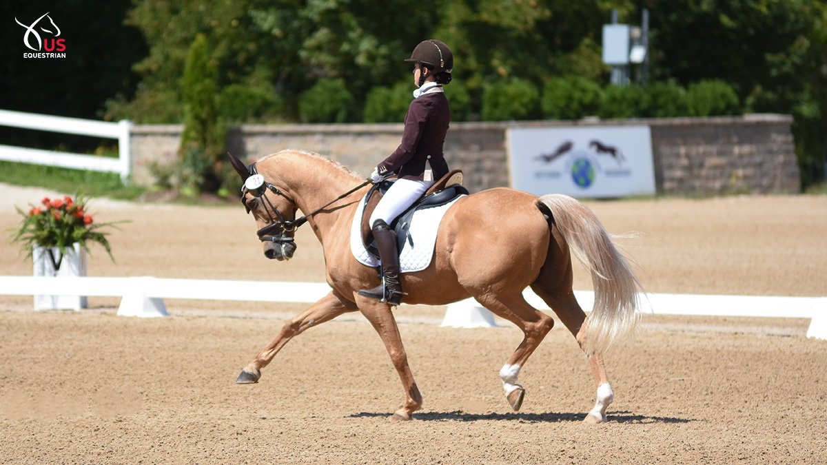 USEFNetwork's tweet photo. From competing in the FEI World Combined Driving Pony Championships to strutting down the centerline in dressage, Kabam can do it all! Watch him and and Ellanor Boehning win the FEI Pony Rider Team Test at #FestivalofChampions

Link to watch 👉https://t.co/qsVJxL7eRd https://t.co/3w8lHT0xvd