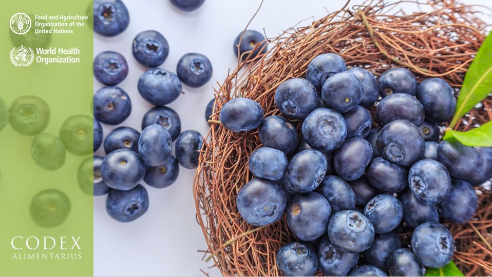 FAOWHOCodex's tweet photo. Happy #HashtagDay

Here are some hashtags we care about:

#FoodSafety 
#FoodTrade
#Endpoverty
#ZeroHunger
#HealthForAll
#AntimicrobialResistance
#SDGs

What are your favorite hashtags on food &amp; SDGs? 🍎

#CodexAlimentarius https://t.co/EdMnKNiUVQ