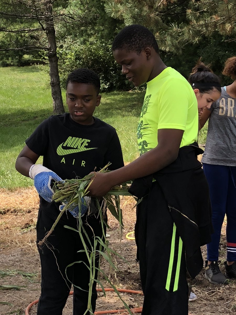 SilverSteamTeam's tweet photo. @newsfromNEMS Sustainability in action at the NEMS outdoor garden today. https://t.co/Clz4TmeQyT