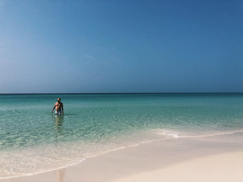 Jessep Magoon tweet media