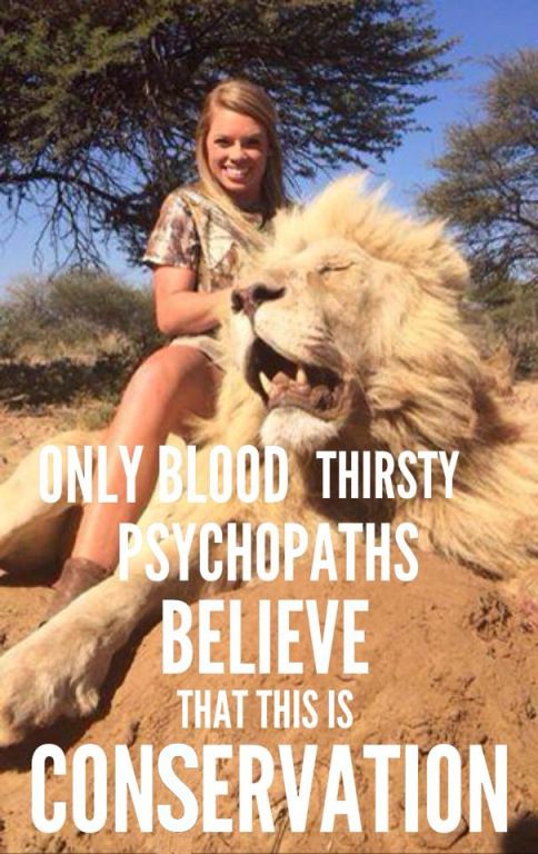 Protect_Wldlife's tweet photo. RT if you agree.

#TrophyHunters - putting the CON in Conservation for centuries!!

Ban #TrophyHunting NOW!! https://t.co/M9APcGa2h3