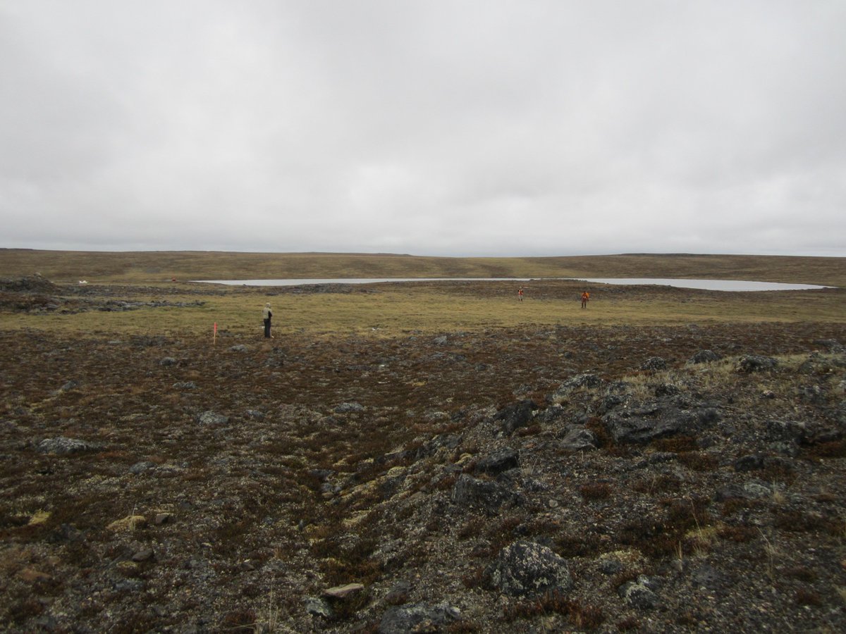 North Arrow Minerals tweet media