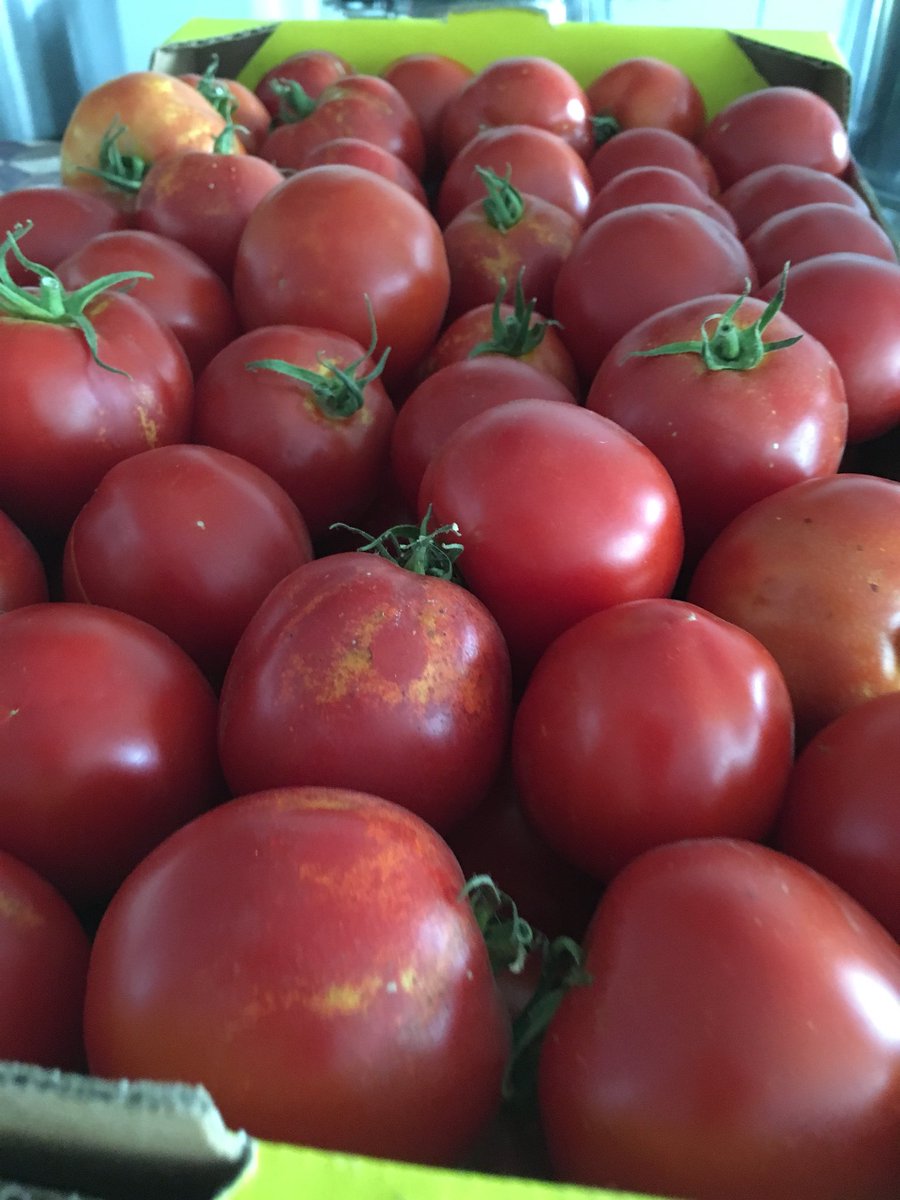 funfeasts's tweet image. These guys just sat around so they got “canned”...seriously, a delicious summer endeavor!