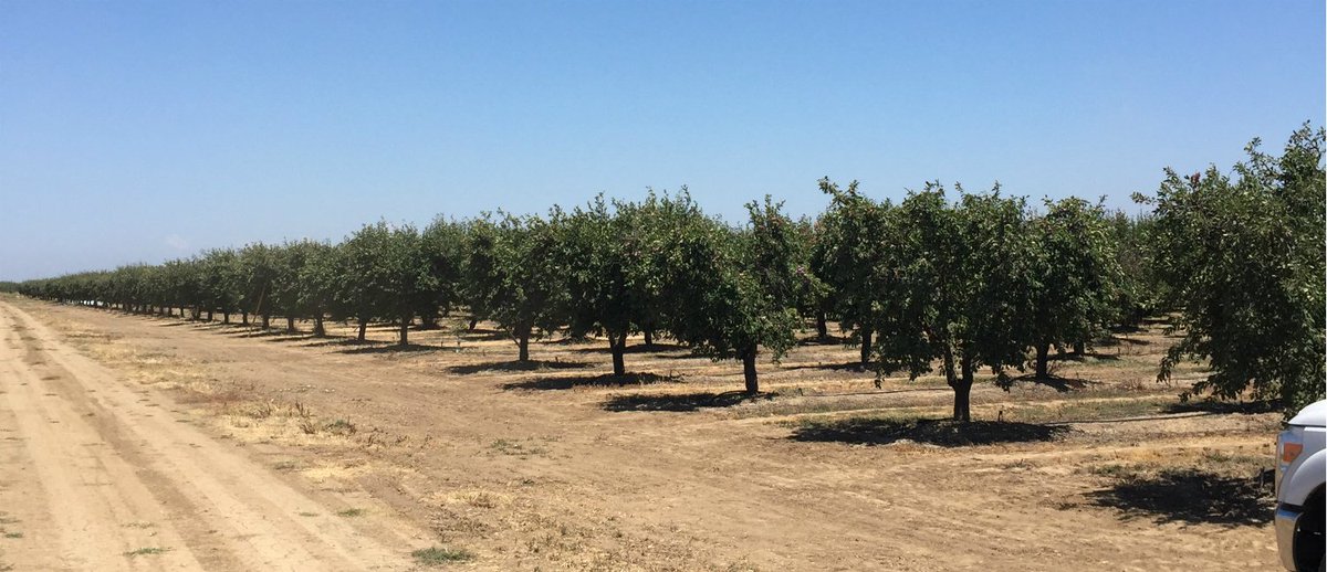 MicaSense's tweet photo. Curious about how @pix4d #Pix4DFields, @DJIGlobal #Matrice and #RedEdgeM play together in temperatures over 40°C (100°F)? This new case study from Pix4D shows the whole process, courtesy of @Pinpoint_AS #IFlyRedEdge
https://t.co/VuQla0CYEy https://t.co/nPyRwCBW1o