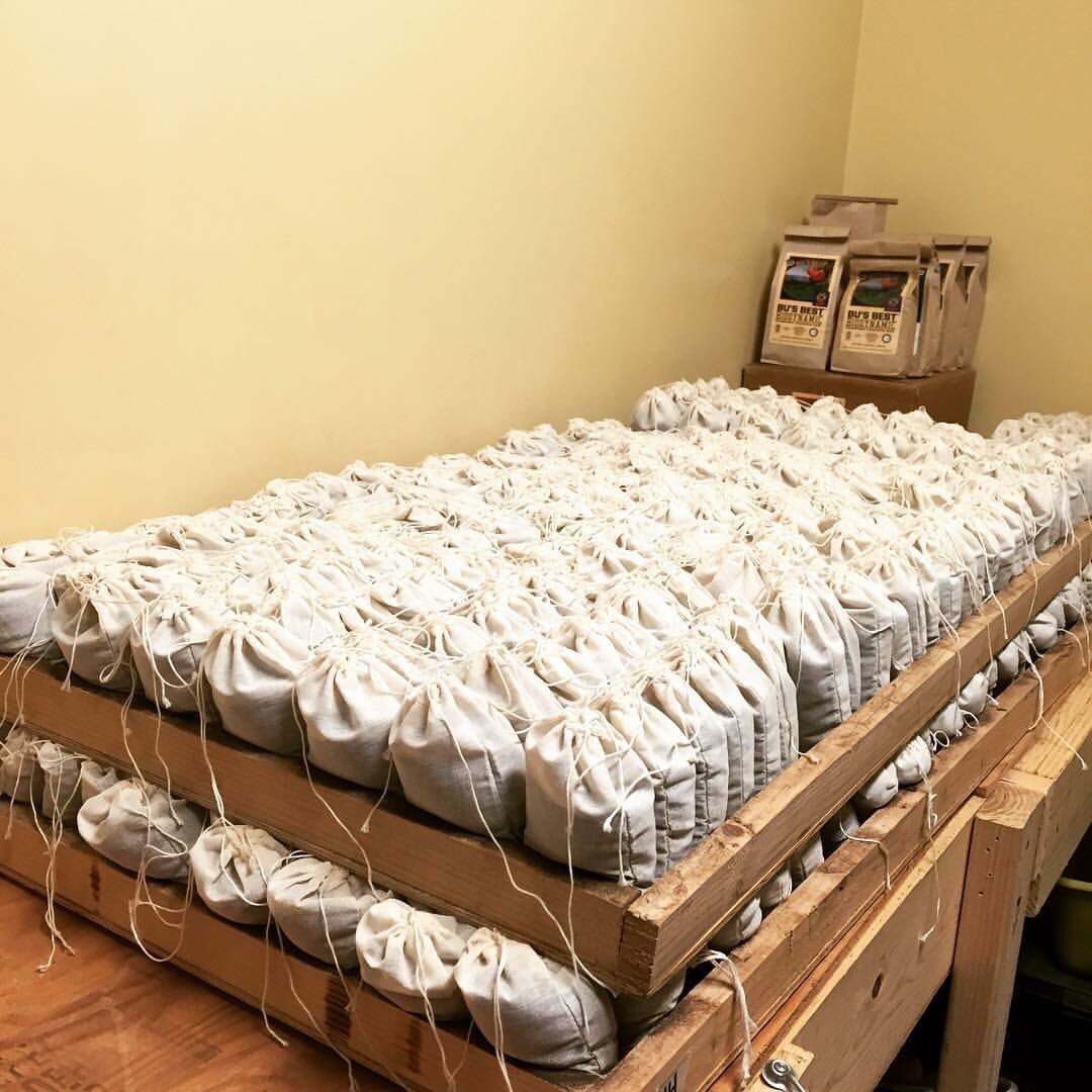 SurfingCow's tweet image. COMPOST TEA 🍵☕️🌎💥💫 Your plants 🌱🌻🌹🌺🌲🌴🍅🥦🥕🌽🥒🍋 will dig it 💯 #composttea #compost #malibucompost #garden #organicgardening #healthylifestyle #biodynamic #madeonthefarm #BU #organicfarm #growyourown #love #gardening #GardenersWorld #trueorganicrevolution #dothebu