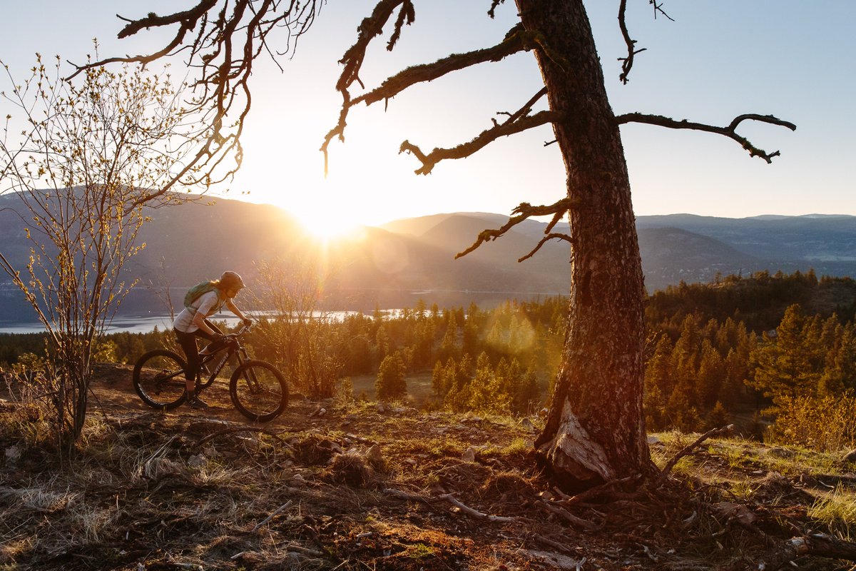 predatorridge's tweet photo. Mountain Biking lessons starting up again this September on our 12.5km trail system.  2 Levels. 4 weeks. Full details at:  https://t.co/ngYG8Gkkvv
🚴
🚴
🚴
#MTBVernon #Okanagan #ExploreVernon #mountainbike #ExploreKelowna #OkanaganLife #OkanaganValley #OkanaganLifestyle #Resort https://t.co/lThaqYDbWV